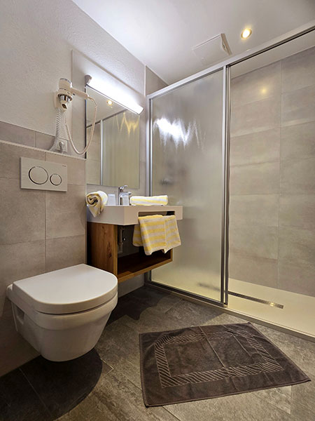 Toilette, Waschbecken und Duschkabine in zusätzlichem Zimmer der großen Ferienwohnung
